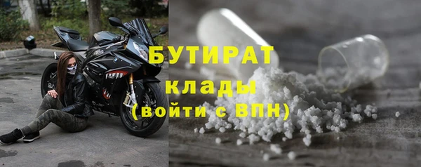 PSILOCYBIN Пересвет