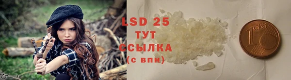 mdpv Дмитриев