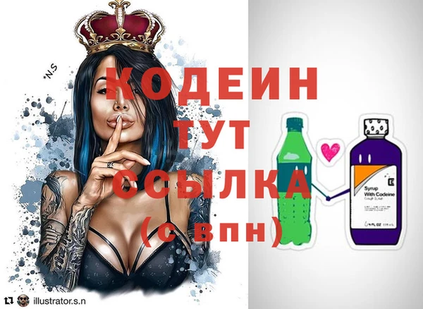 прущие грибы Янаул