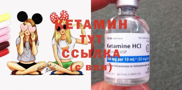 гашик Дмитровск