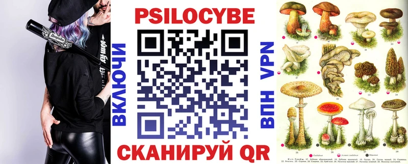 кракен рабочий сайт  Пересвет  Галлюциногенные грибы мицелий 